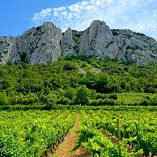 Aprendendo sobre a região de Côtes du Rhône - apelações famosas - SmartBuyWines.com.br